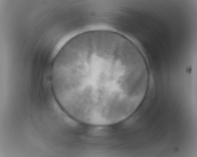 X0000113961390200910161953