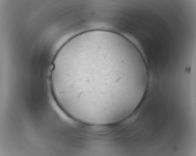 X0000113961391200910161953