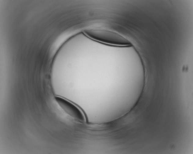 X0000113961392200910161953