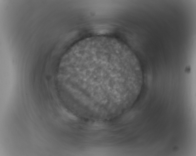 X0000113961393200910161952