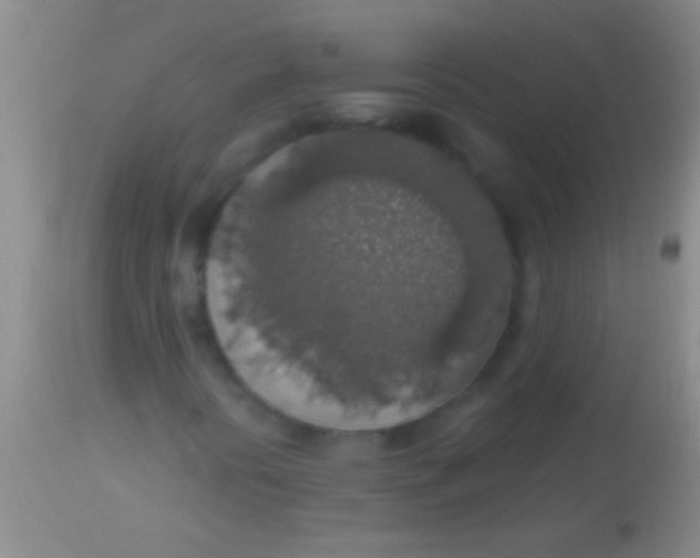 X0000113961394200910161952