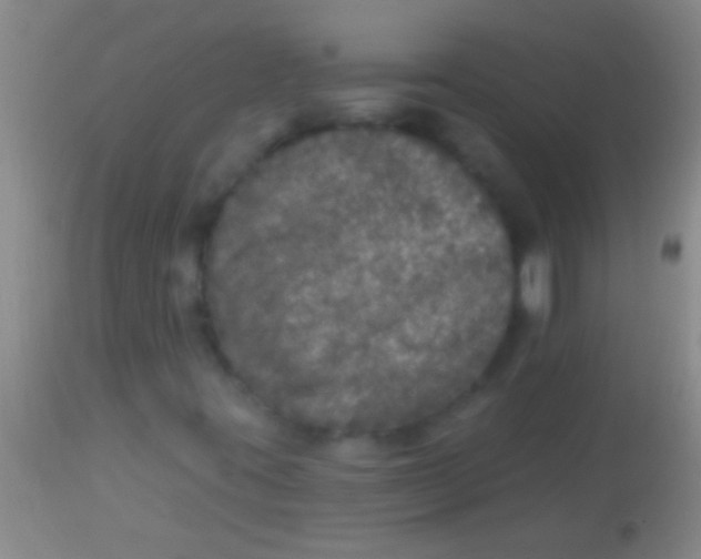 X0000113961395200910161952