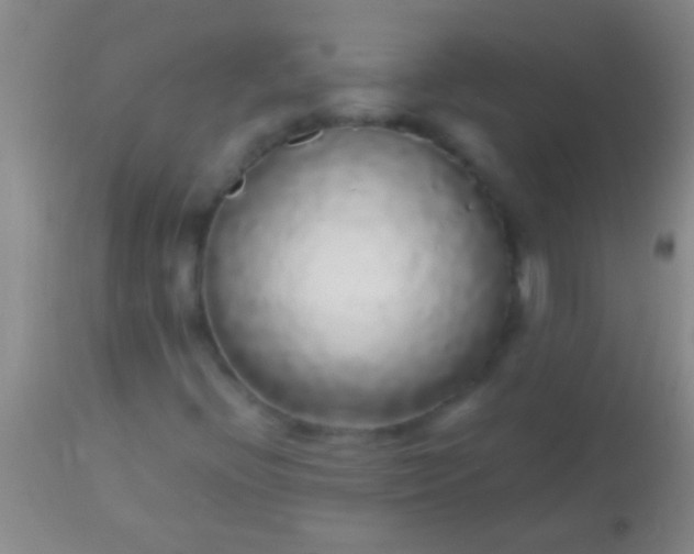 X0000113961396200910161952