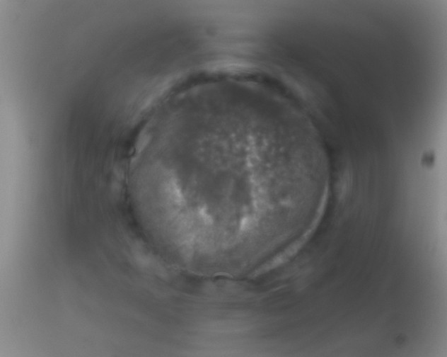 X0000113961397200910161952