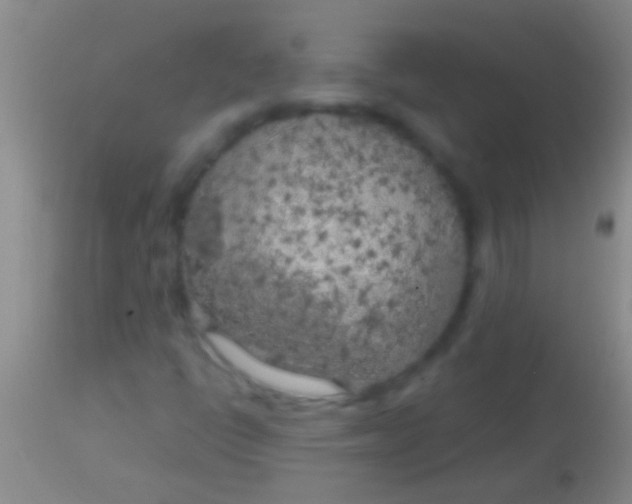 X0000113961398200910161952