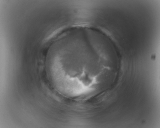 X0000113961399200910161952