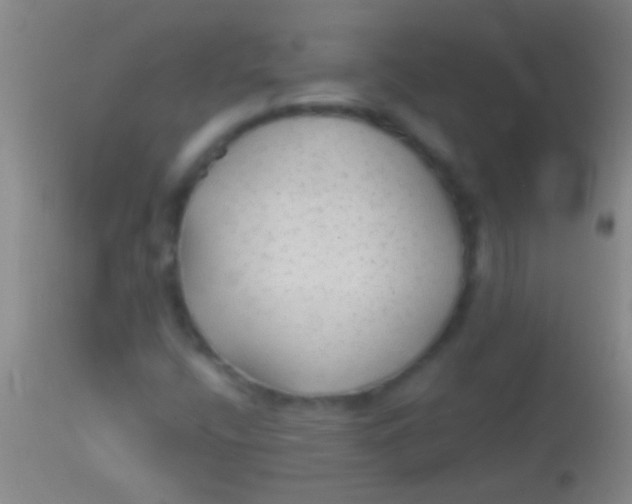 X0000113961400200910161952