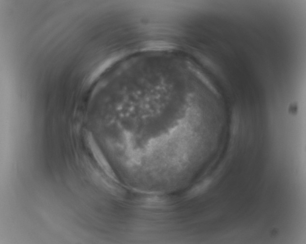 X0000113961401200910161952