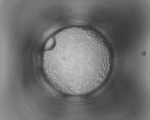 X0000113961402200910161952