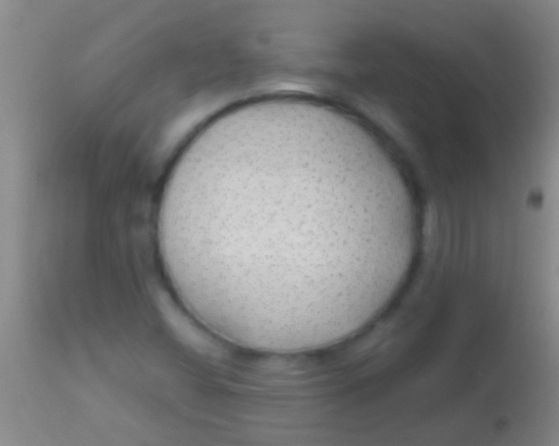 X0000113961404200910161952