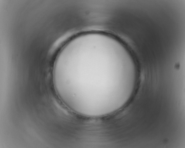 X0000113961406200910161952