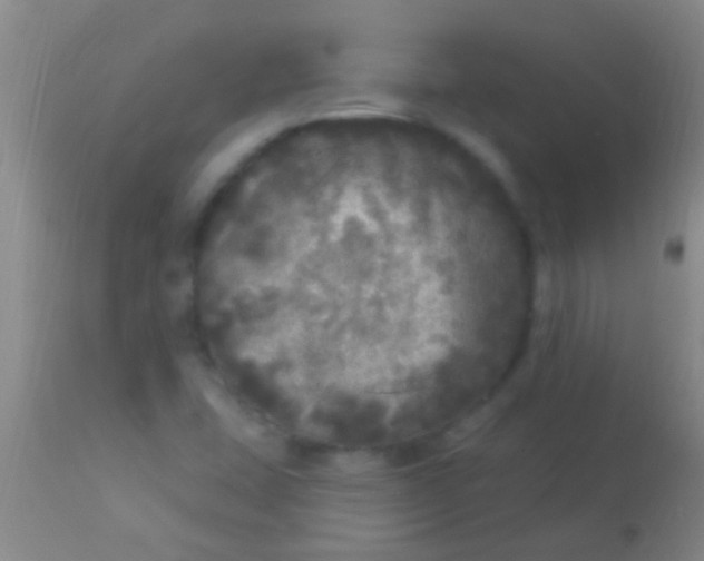 X0000113961407200910161952