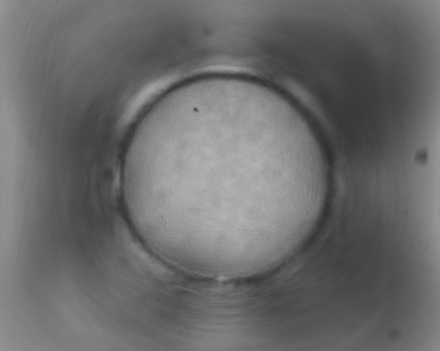 X0000113961408200910161952