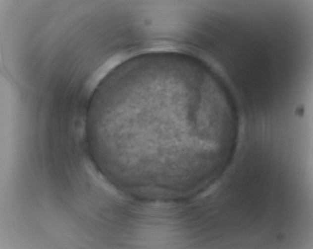 X0000113961409200910161952