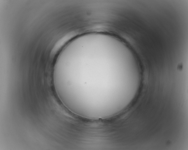 X0000113961410200910161952