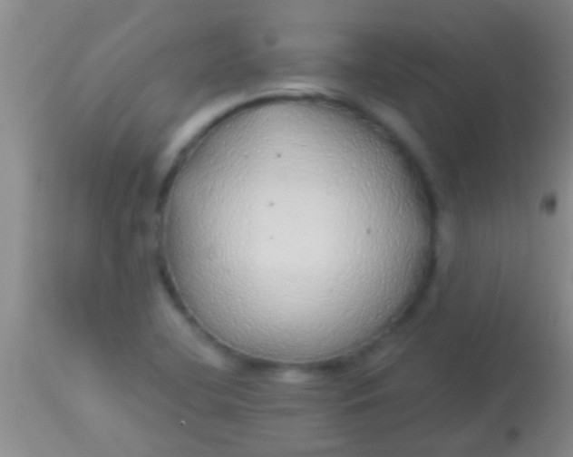 X0000113961412200910161952