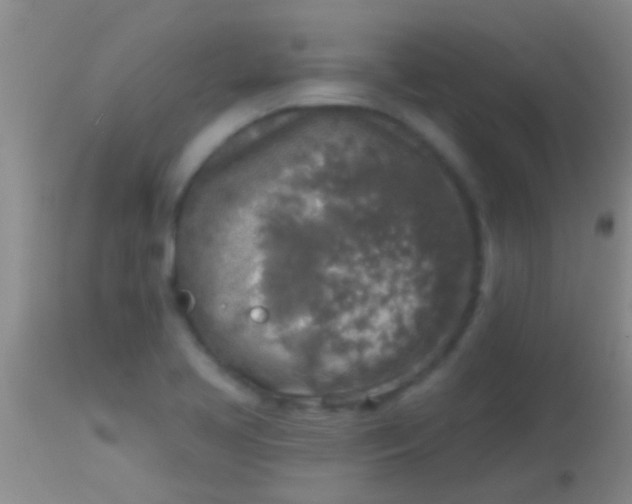 X0000113961413200910161952