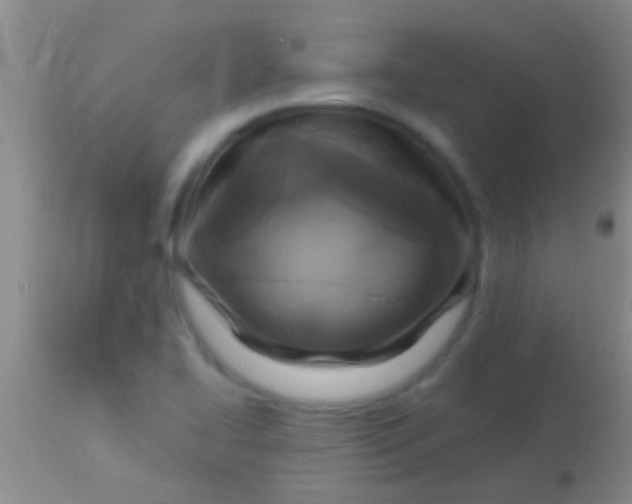 X0000113961414200910161952