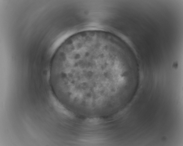 X0000113961415200910161953