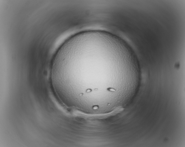 X0000113961416200910161953