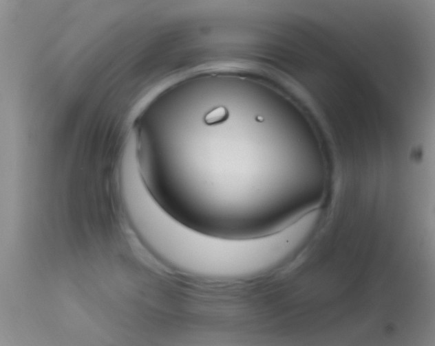 X0000113961417200910161953