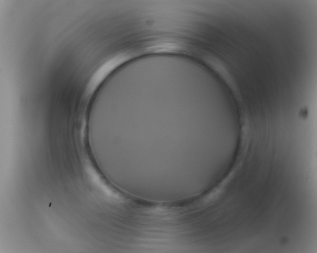 X0000113961418200910161953