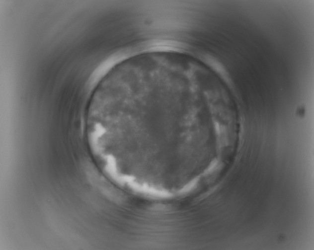 X0000113961419200910161953