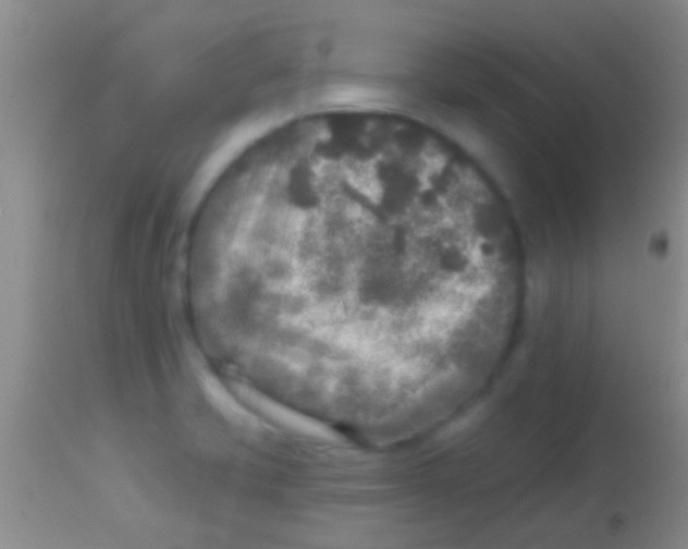 X0000113961421200910161953