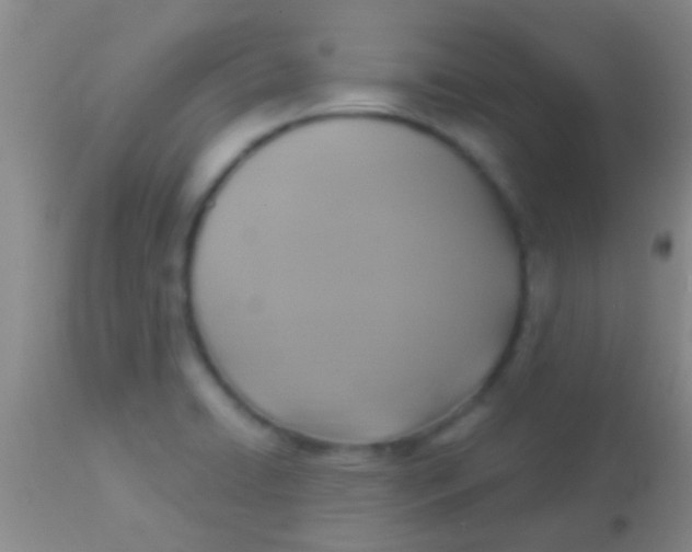 X0000113961422200910161953