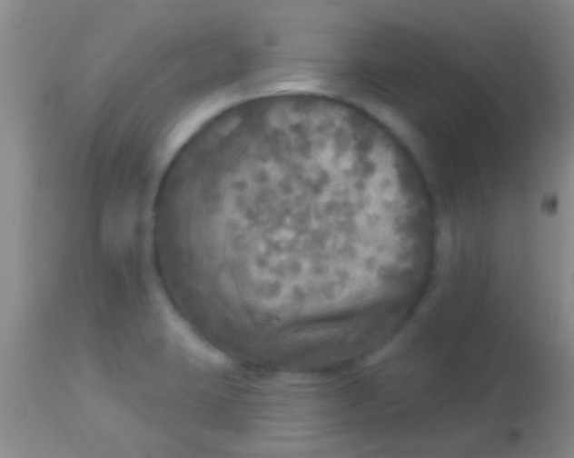 X0000113961423200910161953