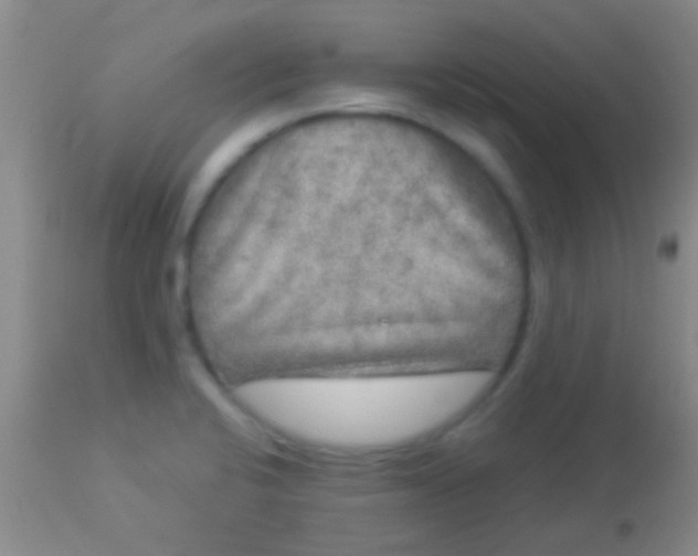 X0000113961424200910161953