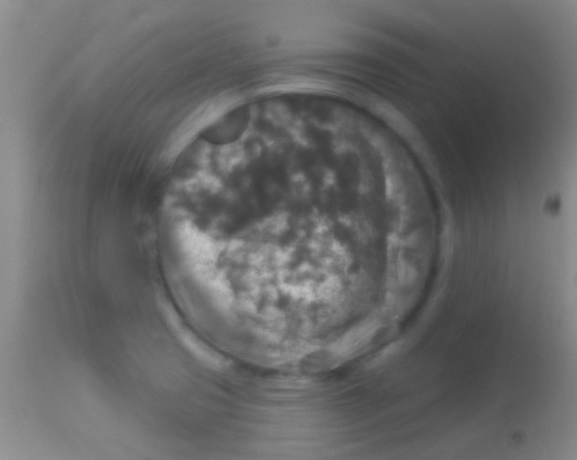 X0000113961425200910161953