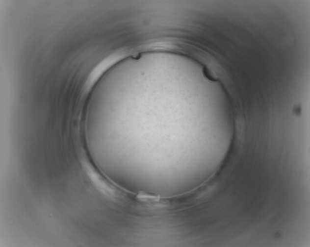 X0000113961426200910161953