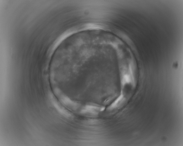 X0000113961427200910161953