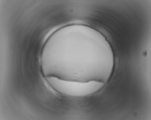 X0000113961428200910161953