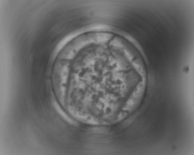 X0000113961429200910161953