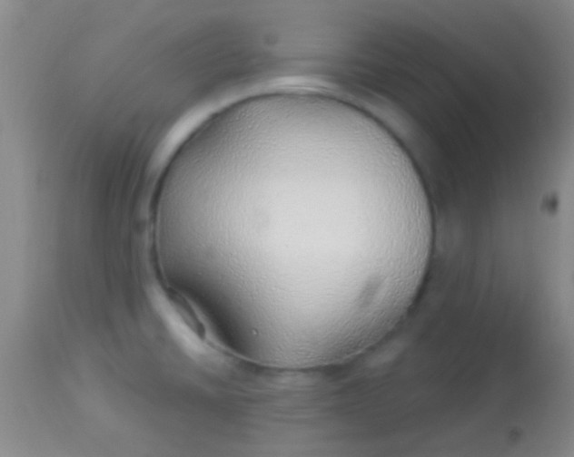 X0000113961430200910161953