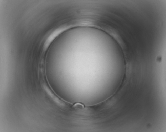 X0000113961432200910161953