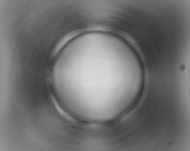 X0000113961433200910161953