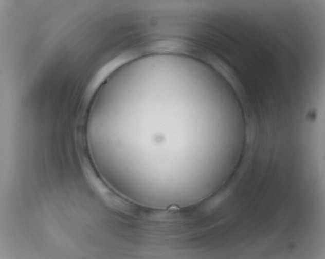 X0000113961434200910161953