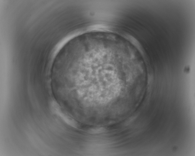 X0000113961435200910161953