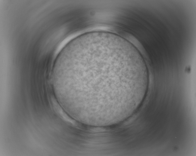 X0000113961436200910161953