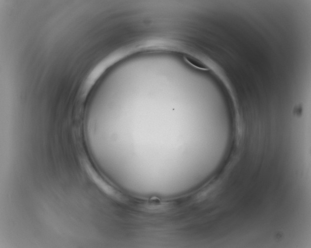 X0000113961437200910161953