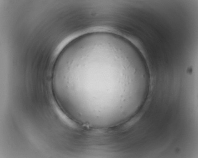 X0000113961438200910161953