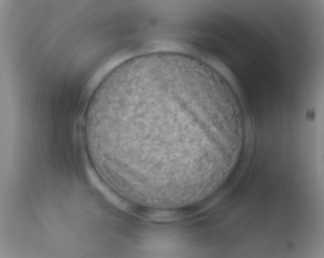 X0000113961439200910161953