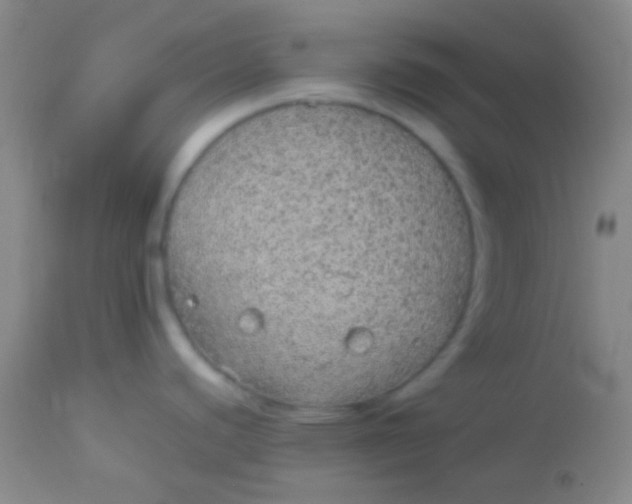 X0000113961440200910161953