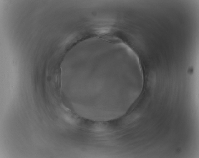 X0000113961441200910161952