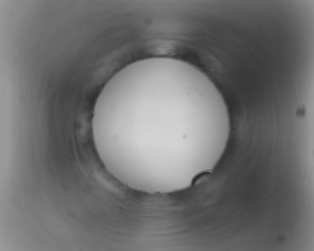 X0000113961442200910161952