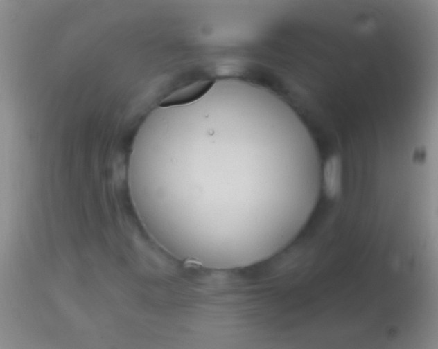 X0000113961443200910161952