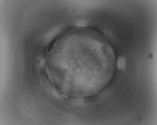 X0000113961444200910161952